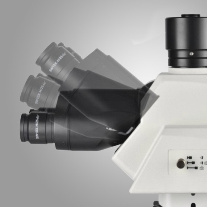 MN 60 Series Microscopium