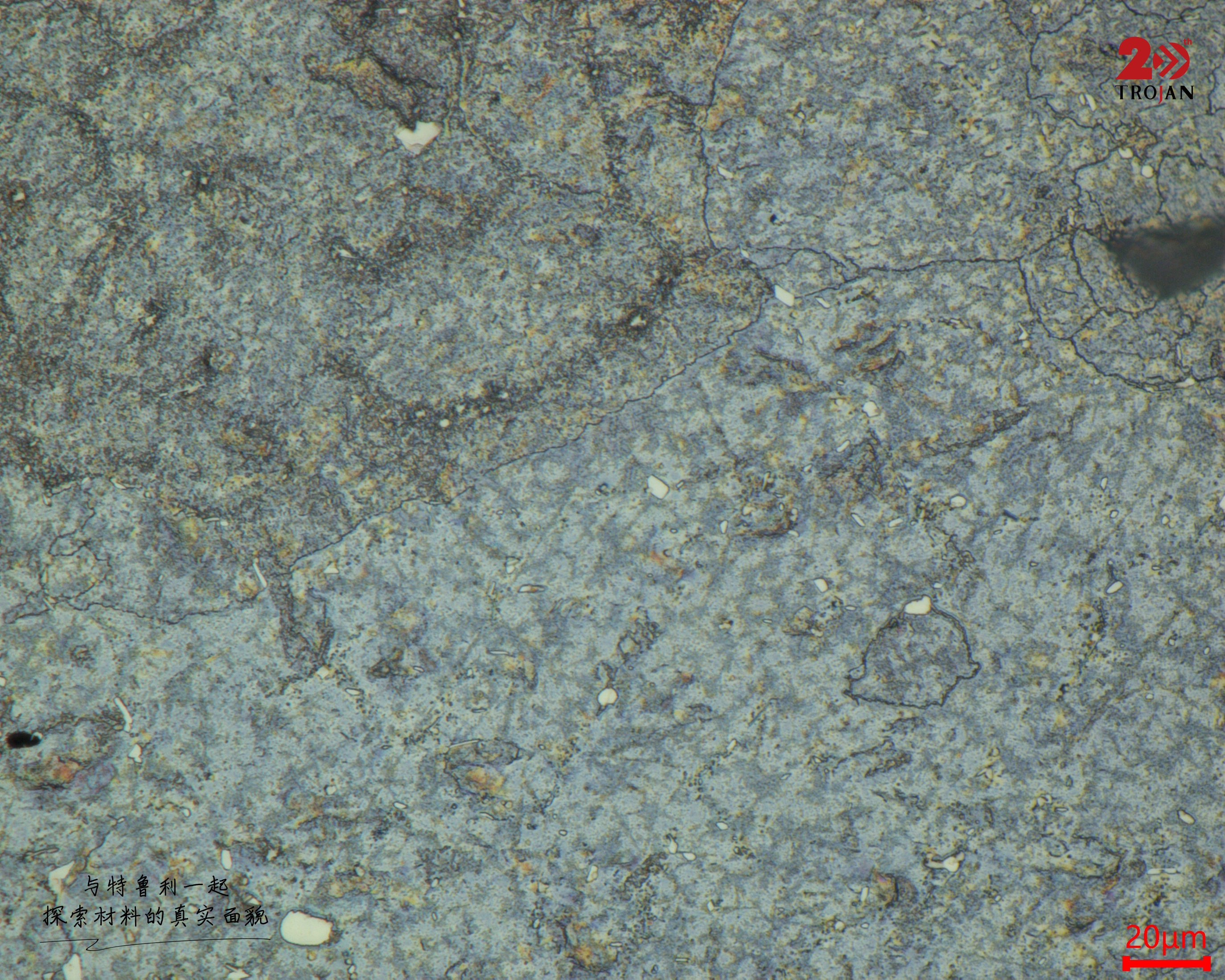 Final Magnified View